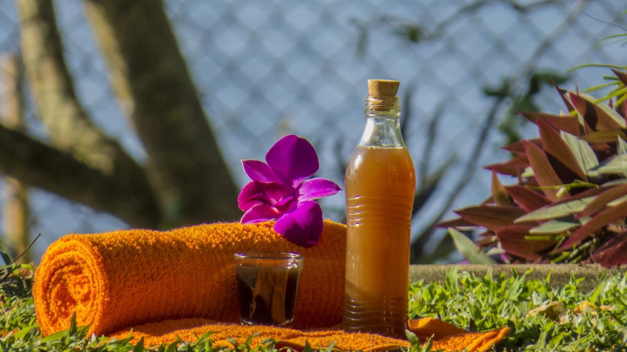 Ayurveda Spring Of Life 호텔 필리얀달라 외부 사진